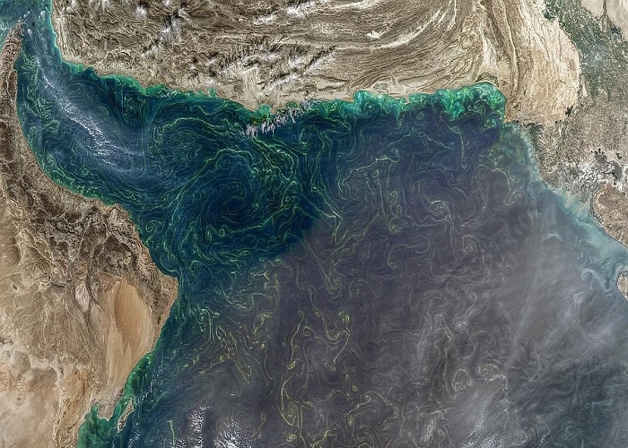 کشف یک منطقه مرده و بدون حیات در دریای عمان